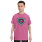 e9549957-e98a-46fe-88ee-55c0aa3721ad
